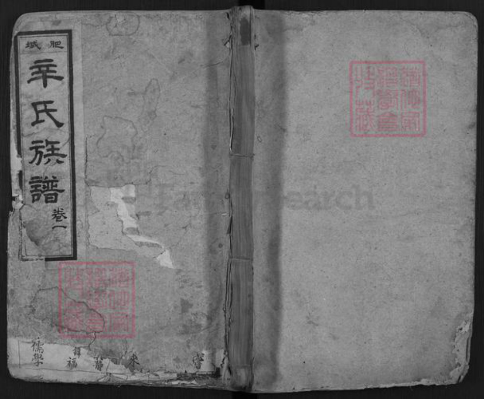 山东省泰安市肥城市辛氏族谱-肥城辛氏族谱.pdf电子版