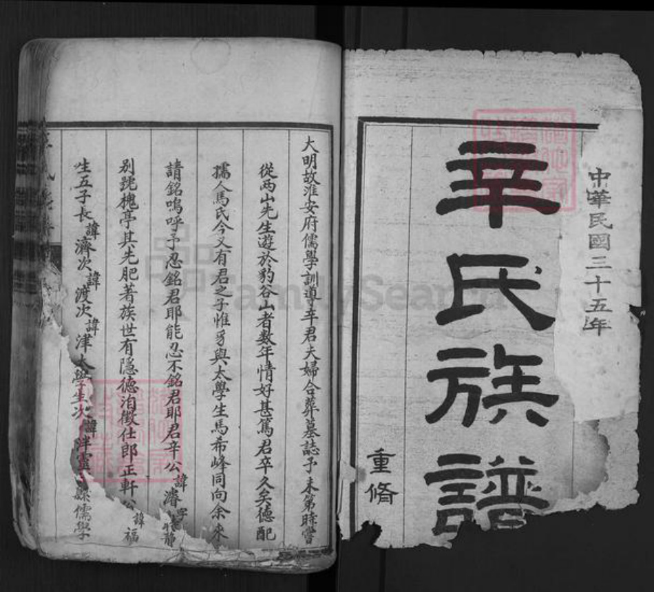 山东省泰安市肥城市辛氏族谱-肥城辛氏族谱.pdf电子版插图1