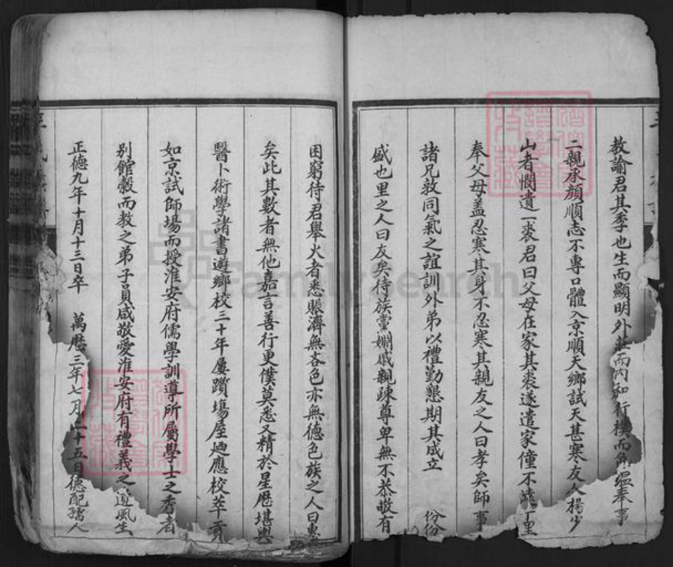 山东省泰安市肥城市辛氏族谱-肥城辛氏族谱.pdf电子版插图2