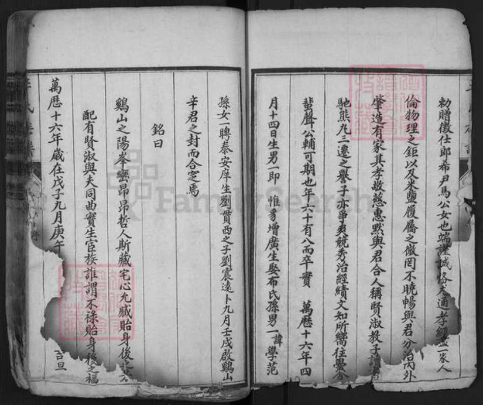 山东省泰安市肥城市辛氏族谱-肥城辛氏族谱.pdf电子版插图3