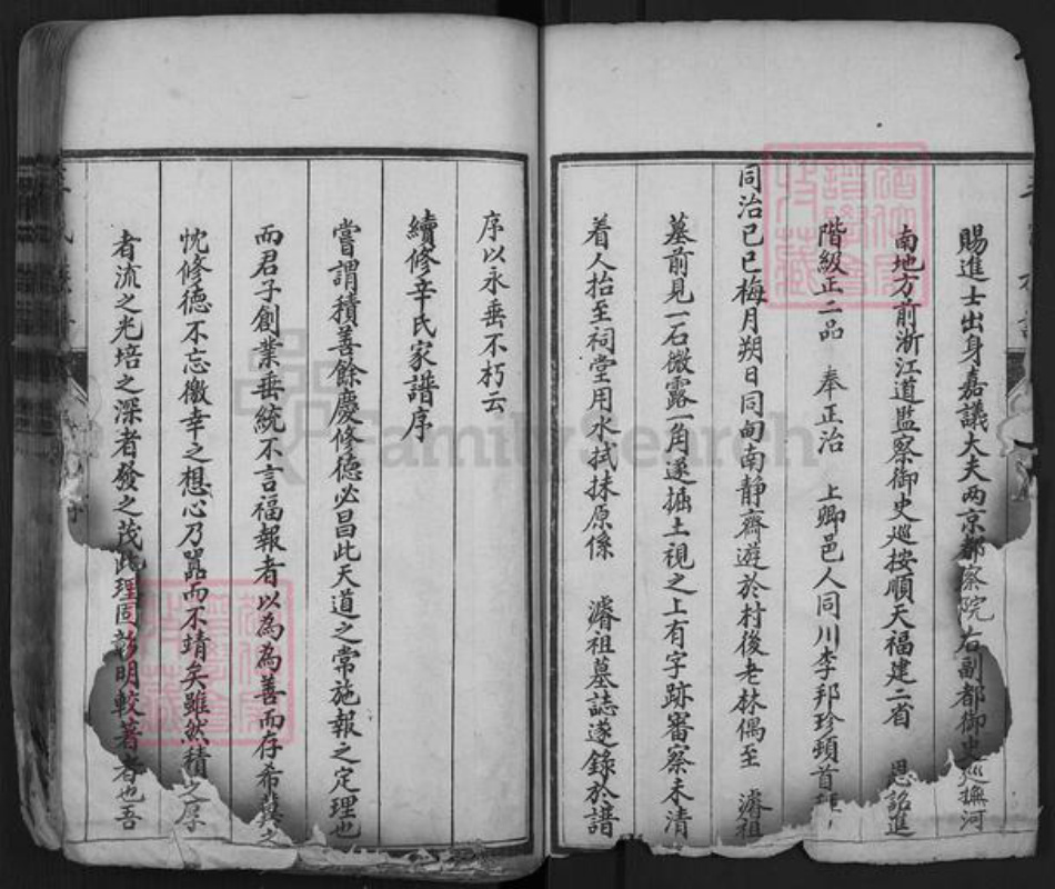 山东省泰安市肥城市辛氏族谱-肥城辛氏族谱.pdf电子版插图4