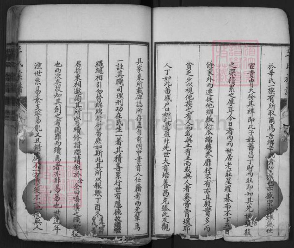 山东省泰安市肥城市辛氏族谱-肥城辛氏族谱.pdf电子版插图5