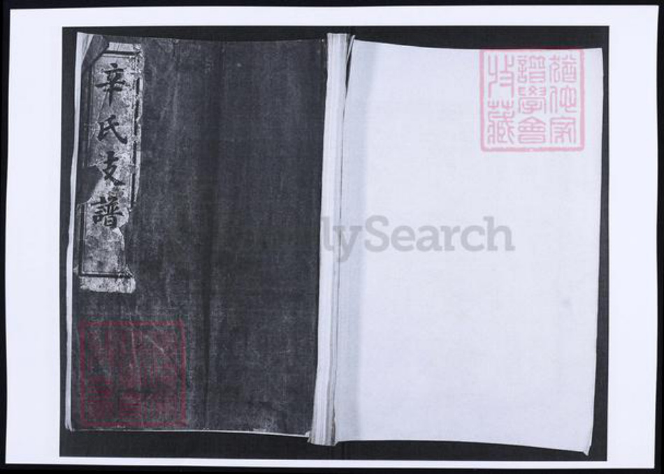 山东省青岛市即墨区辛氏族谱-辛氏支谱.pdf电子版