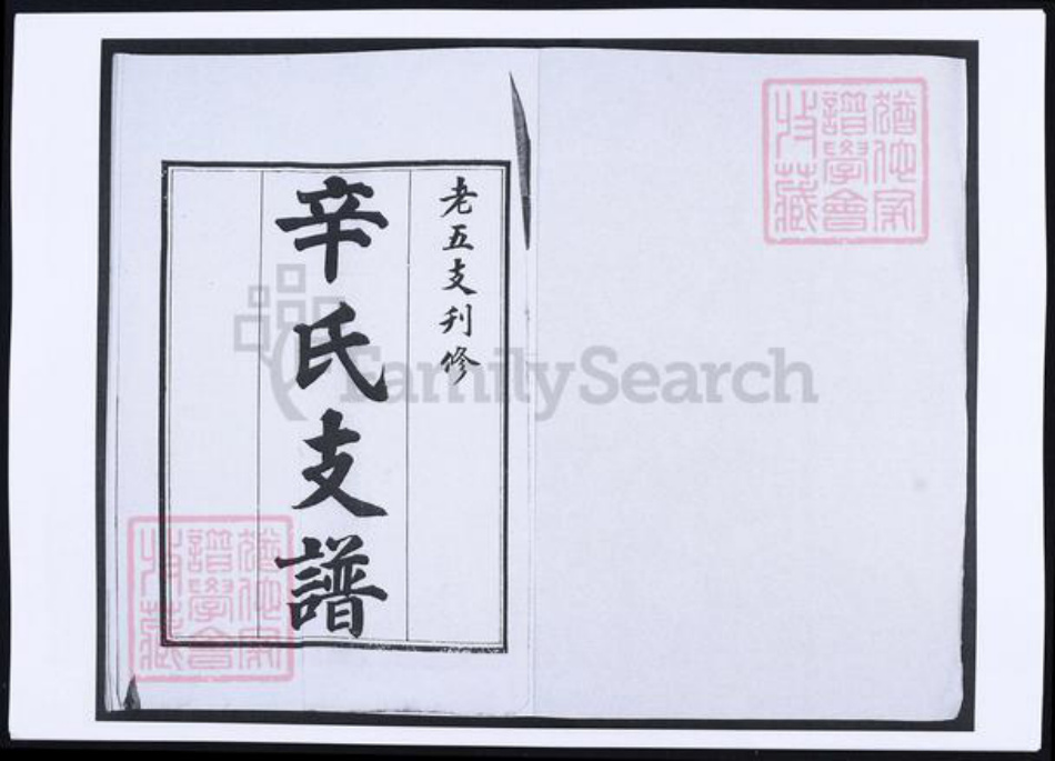 山东省青岛市即墨区辛氏族谱-辛氏支谱.pdf电子版插图1 山东省青岛市即墨区辛氏族谱-辛氏支谱.pdf电子版插图1