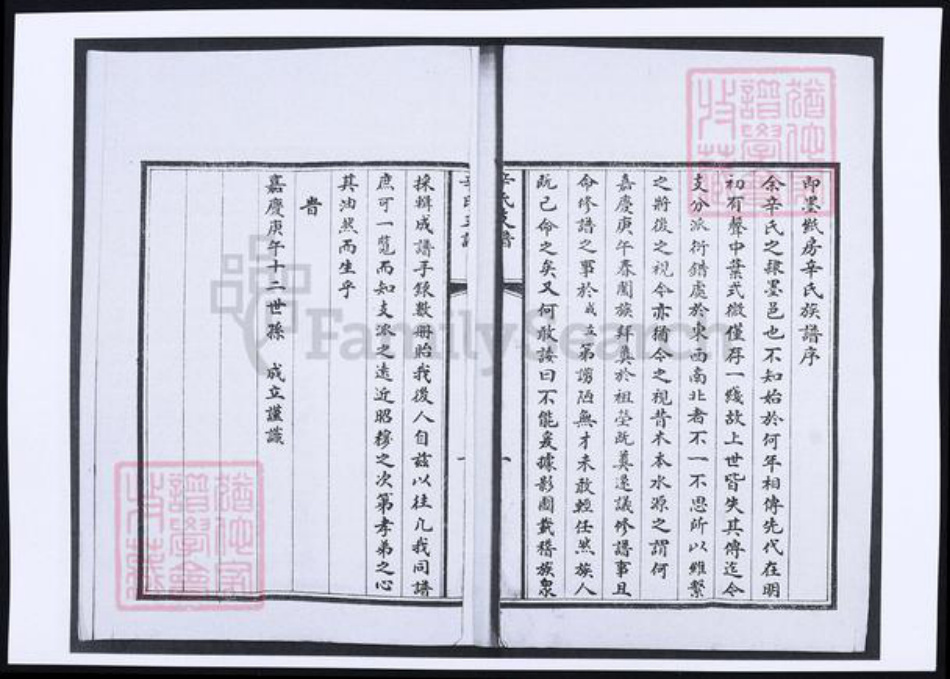 山东省青岛市即墨区辛氏族谱-辛氏支谱.pdf电子版插图2 山东省青岛市即墨区辛氏族谱-辛氏支谱.pdf电子版插图2