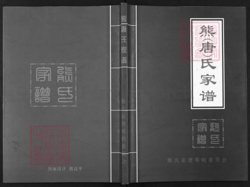 四川省资阳市乐至县熊氏族谱-熊(唐)氏家谱.pdf电子版