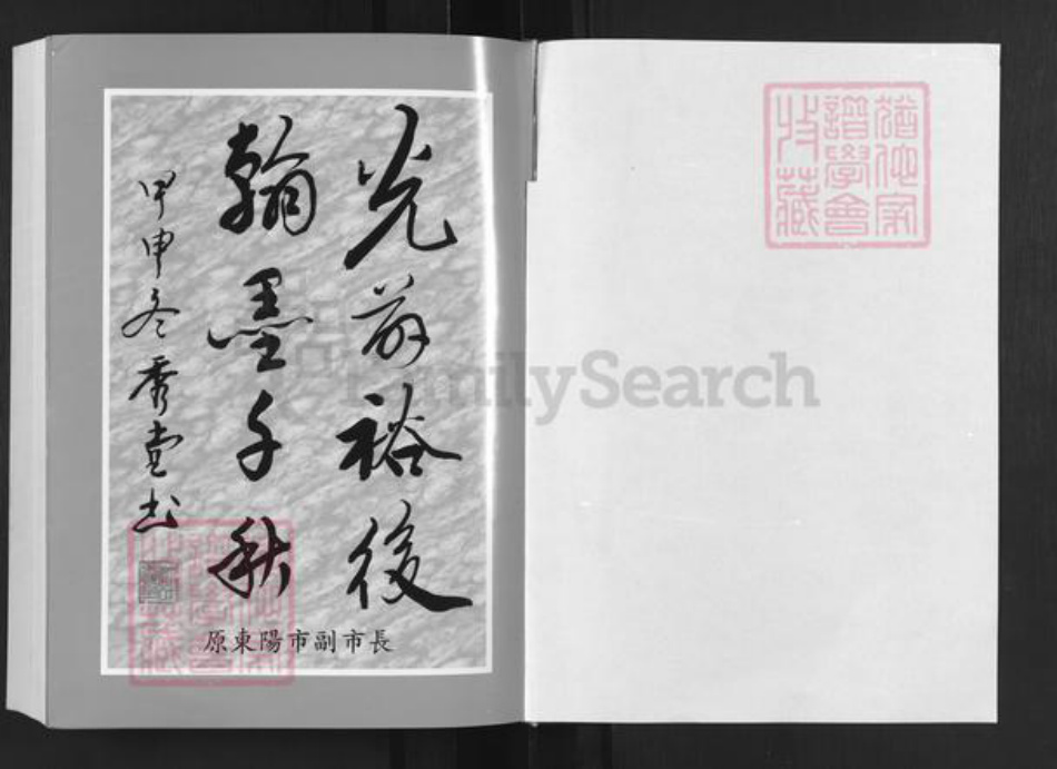 浙江省金华市东阳市城东街道徐氏锡麟堂族谱-前城徐氏宗谱.pdf电子版插图1