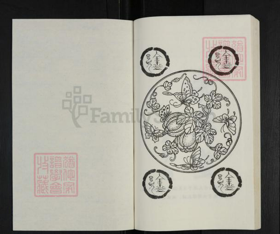 山东省临沂市沂水县徐氏永思堂族谱-徐氏族谱.pdf电子版插图1