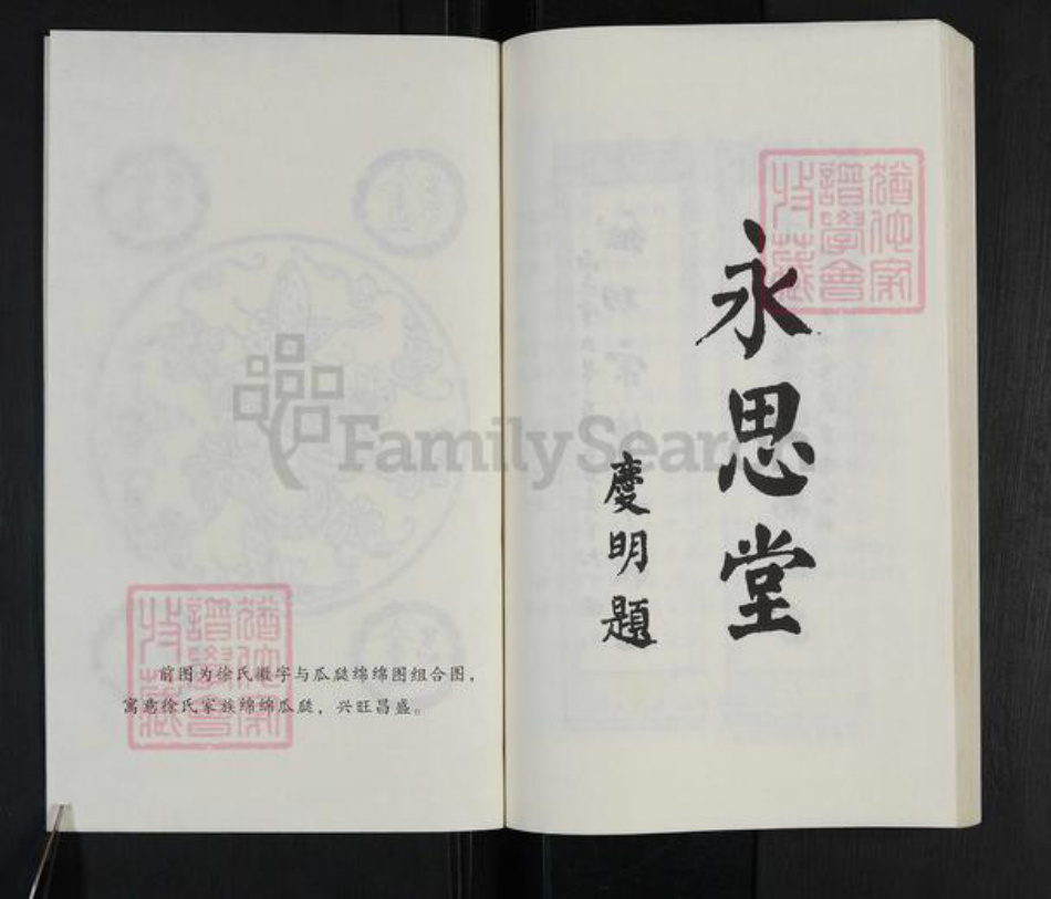 山东省临沂市沂水县徐氏永思堂族谱-徐氏族谱.pdf电子版插图2