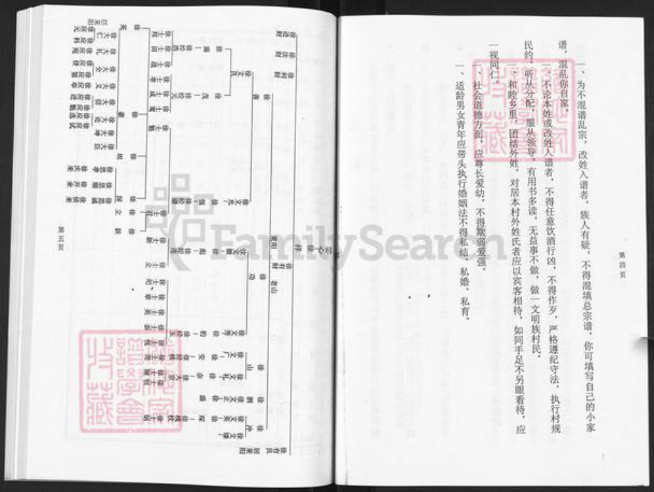 山东省烟台市栖霞市庄园街道徐氏族谱-草庵徐氏家谱.pdf电子版插图4
