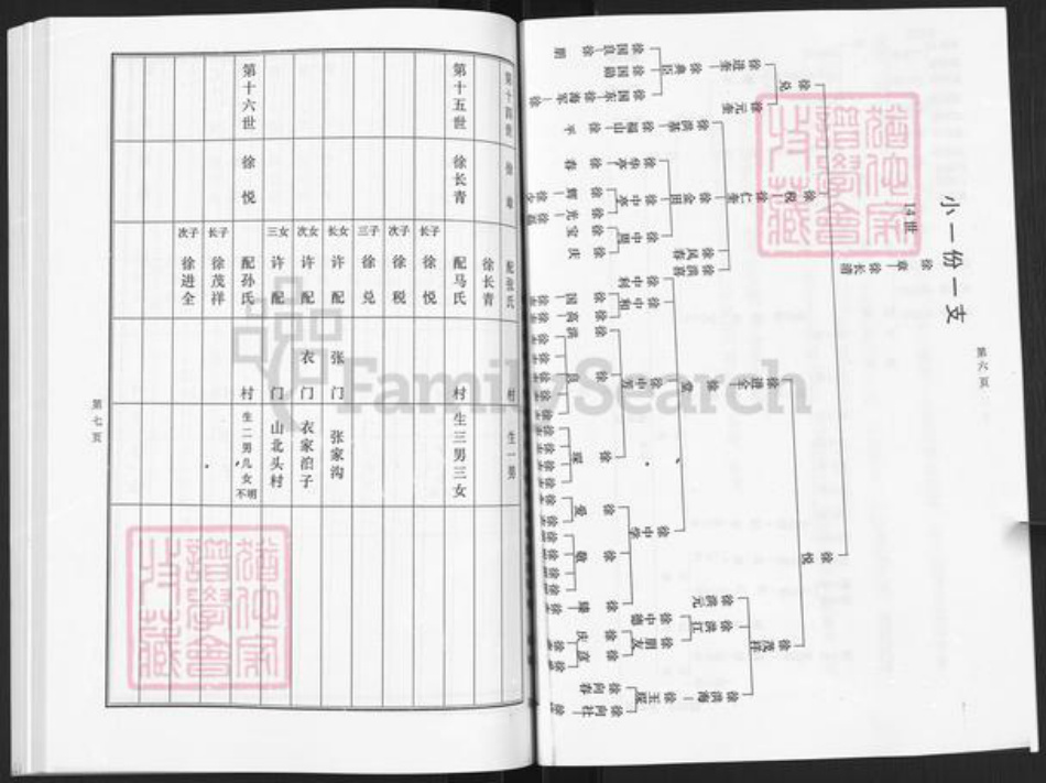 山东省烟台市栖霞市庄园街道徐氏族谱-草庵徐氏家谱.pdf电子版插图5
