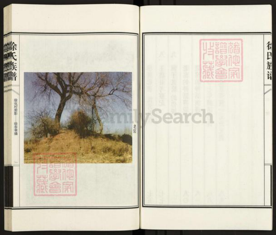 河北省衡水市阜城县大白乡徐氏族谱-徐氏族谱.pdf电子版插图4