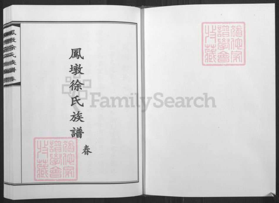 山东省青岛市胶南市黄岛徐氏族谱-凤墩徐氏族谱.pdf电子版插图1