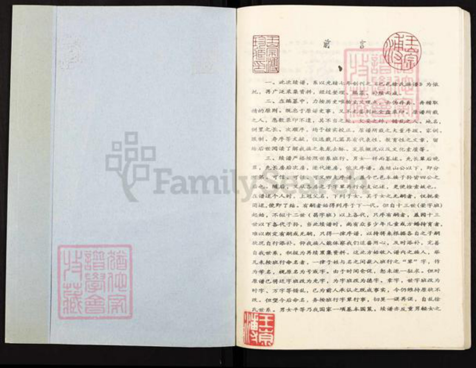 重庆市巴南区徐氏族谱-徐氏族谱.pdf电子版插图1