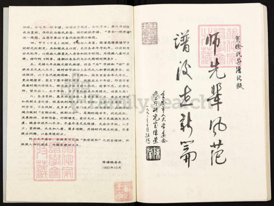 重庆市巴南区徐氏族谱-徐氏族谱.pdf电子版插图2