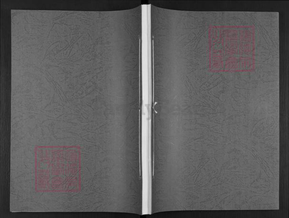 湖南省岳阳市汨罗市徐氏族谱-徐氏家谱.pdf电子版