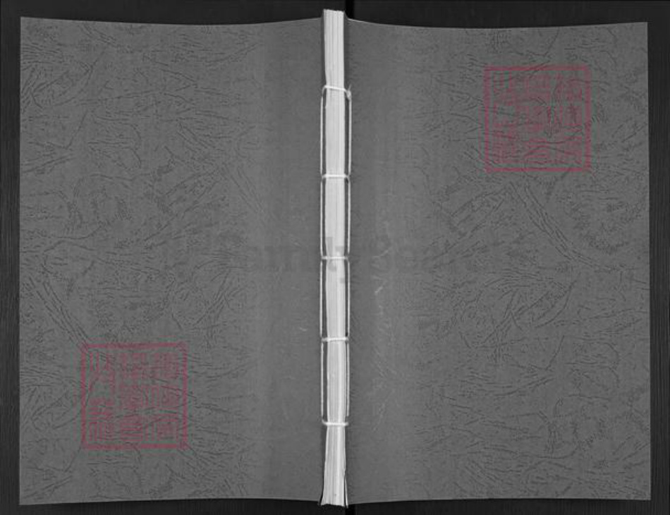 安徽省宣城市徐氏东海堂族谱-徐氏宗谱.pdf电子版