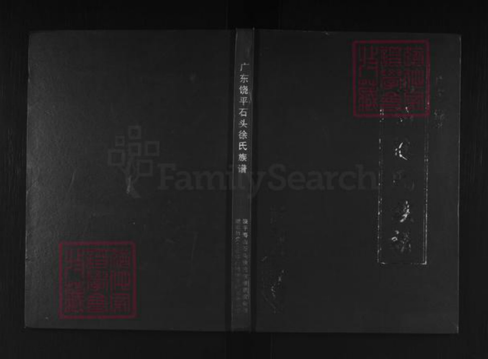 广东省潮州市饶平县海山镇徐氏追远堂族谱-广东饶平石头徐氏族谱.pdf电子版