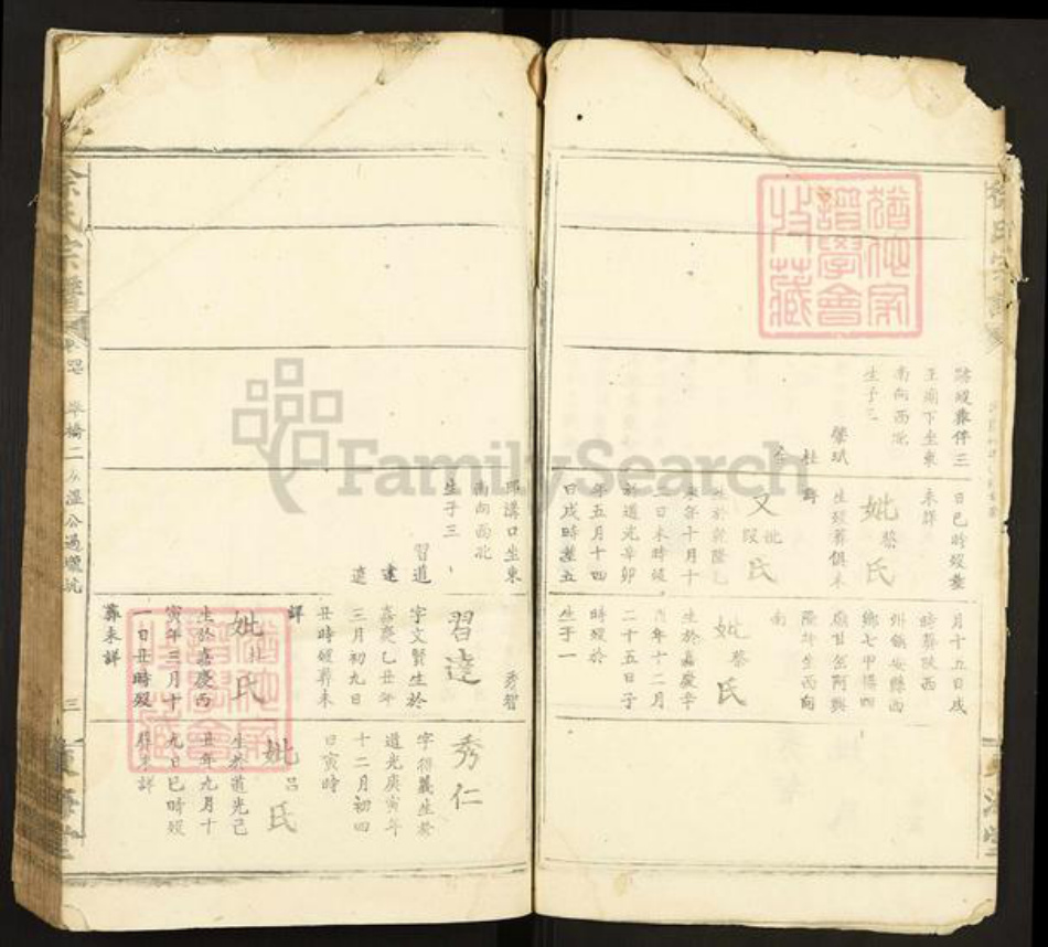 陕西省安康市紫阳县徐氏族谱-徐氏宗谱.pdf电子版插图2