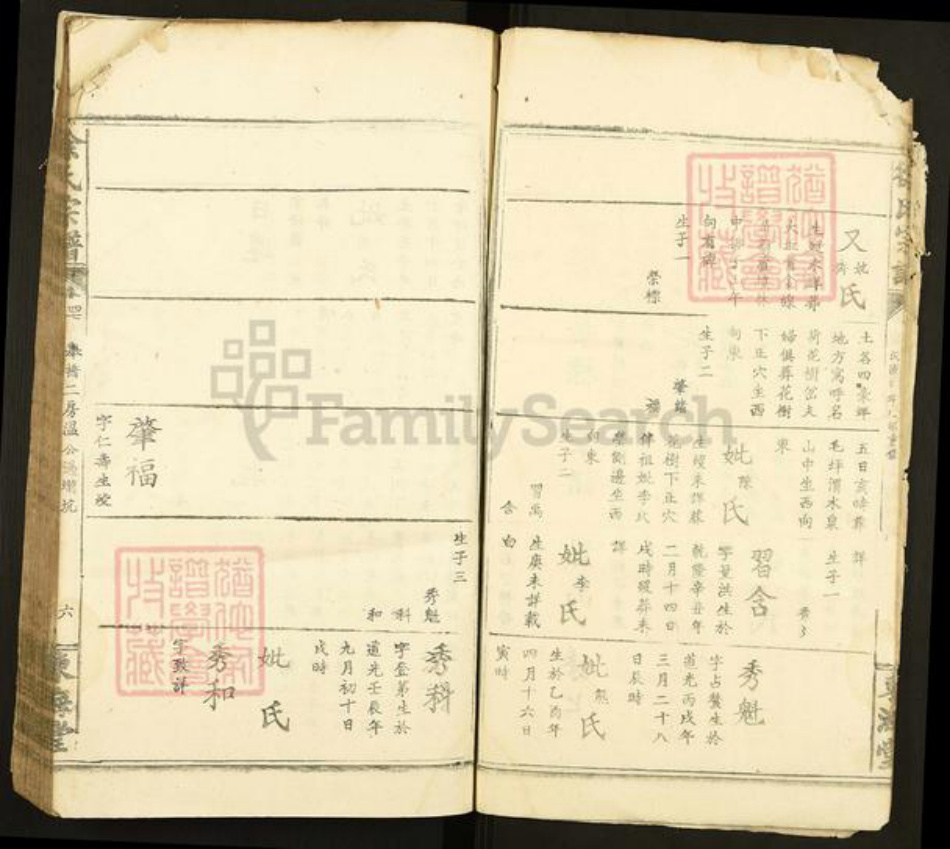 陕西省安康市紫阳县徐氏族谱-徐氏宗谱.pdf电子版插图5