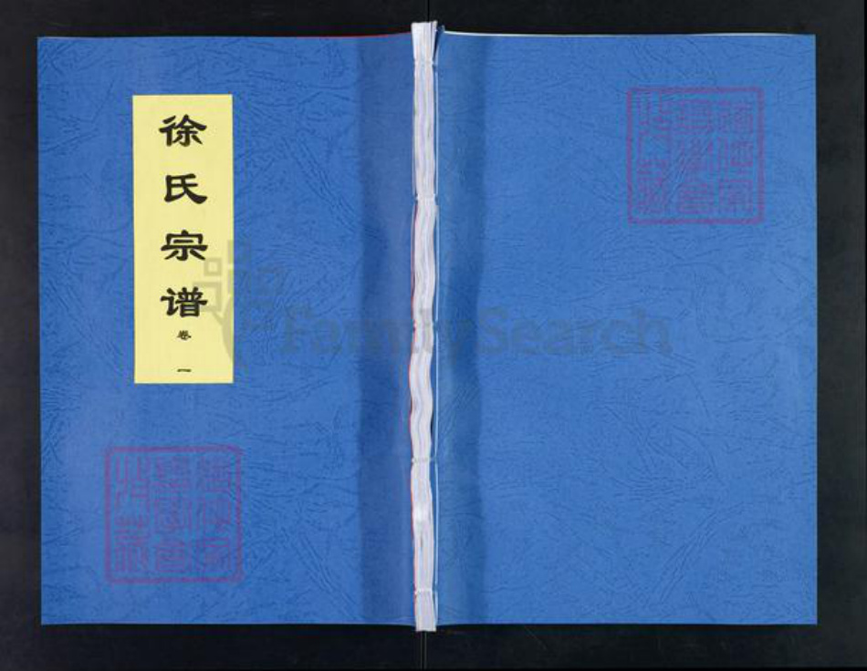 安徽省合肥市徐氏三伯堂族谱-徐氏宗谱.pdf电子版