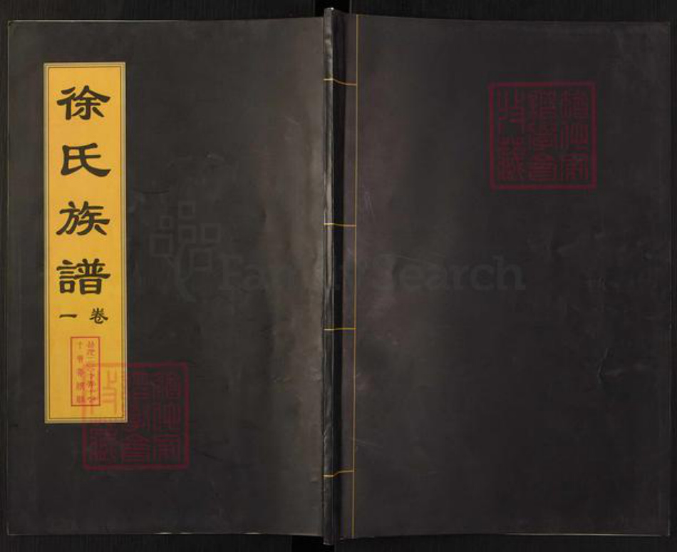 山东省泰安市东平县徐氏族谱-徐氏族谱.pdf电子版