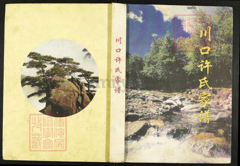 山西省临汾市浮山县许氏族谱-川口许氏家谱.pdf电子版