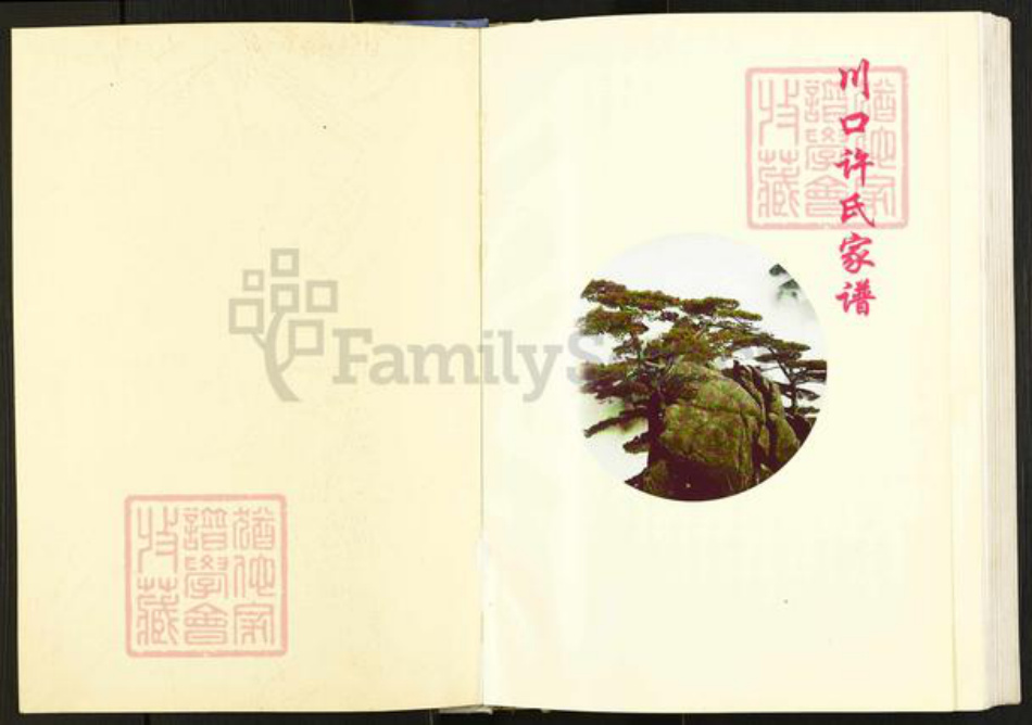 山西省临汾市浮山县许氏族谱-川口许氏家谱.pdf电子版插图1