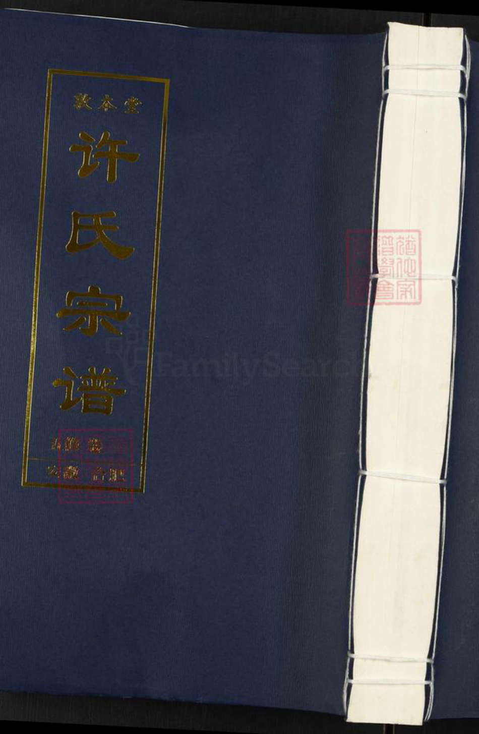 安徽省合肥市肥西县上派镇许氏敦本堂族谱-许氏宗谱.pdf电子版