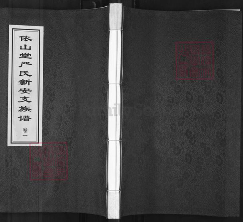 青海省海东市平安区严氏依山堂族谱-依山堂严氏新安支族谱.pdf电子版