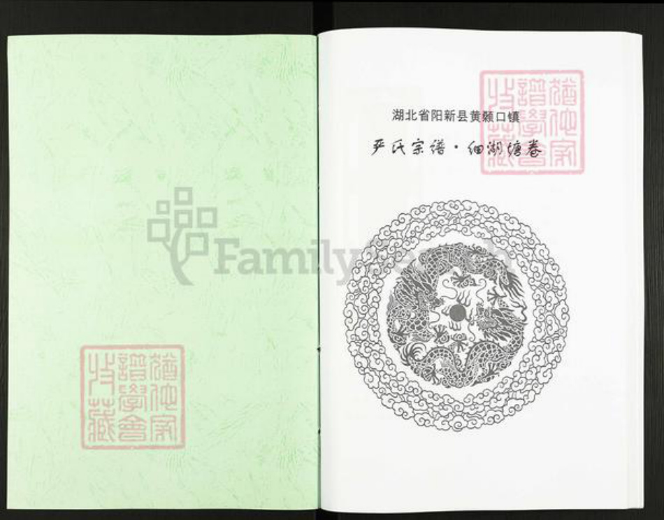 湖北省黄石市阳新县严氏族谱-严氏宗谱细湖塘卷.pdf电子版插图1