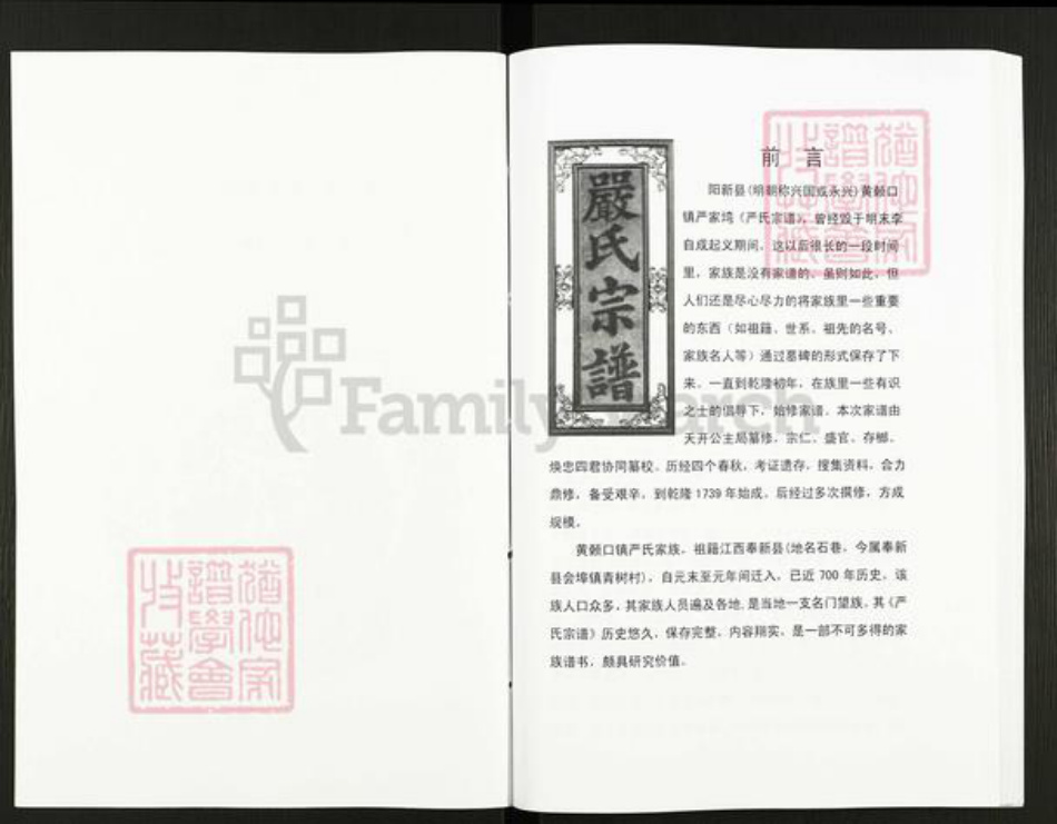 湖北省黄石市阳新县严氏族谱-严氏宗谱细湖塘卷.pdf电子版插图2