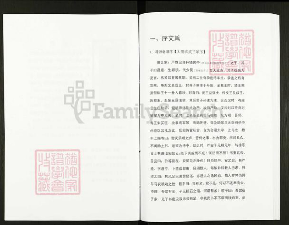 湖北省黄石市阳新县严氏族谱-严氏宗谱细湖塘卷.pdf电子版插图3