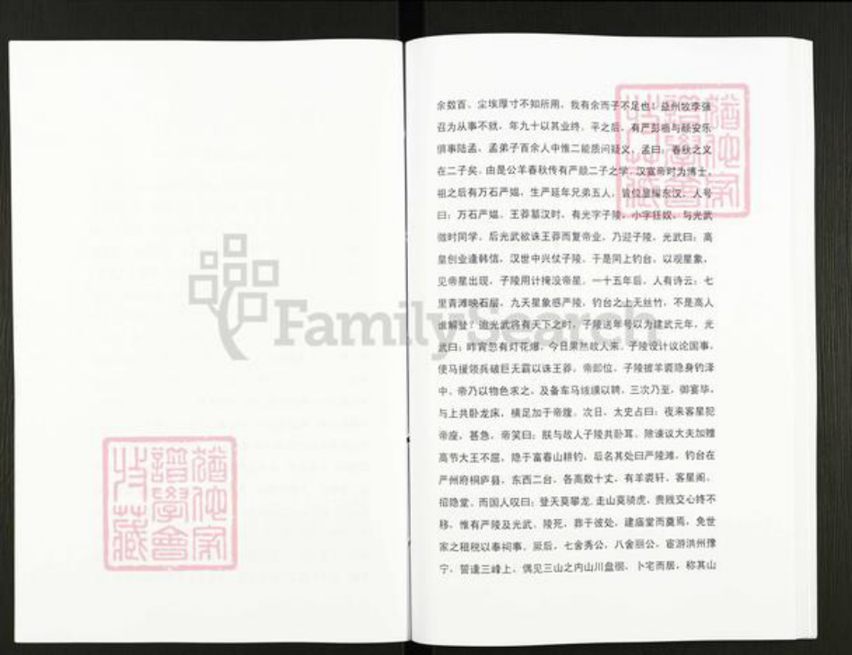 湖北省黄石市阳新县严氏族谱-严氏宗谱细湖塘卷.pdf电子版插图4