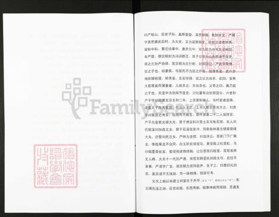 湖北省黄石市阳新县严氏族谱-严氏宗谱细湖塘卷.pdf电子版插图5