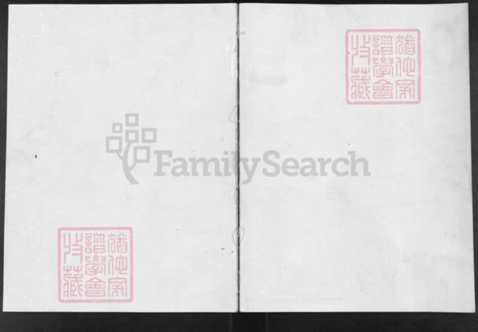 湖北省黄石市大冶市金牛镇阎氏族谱-乡宁城内阎氏四份(南府书院)族史略记.pdf电子版