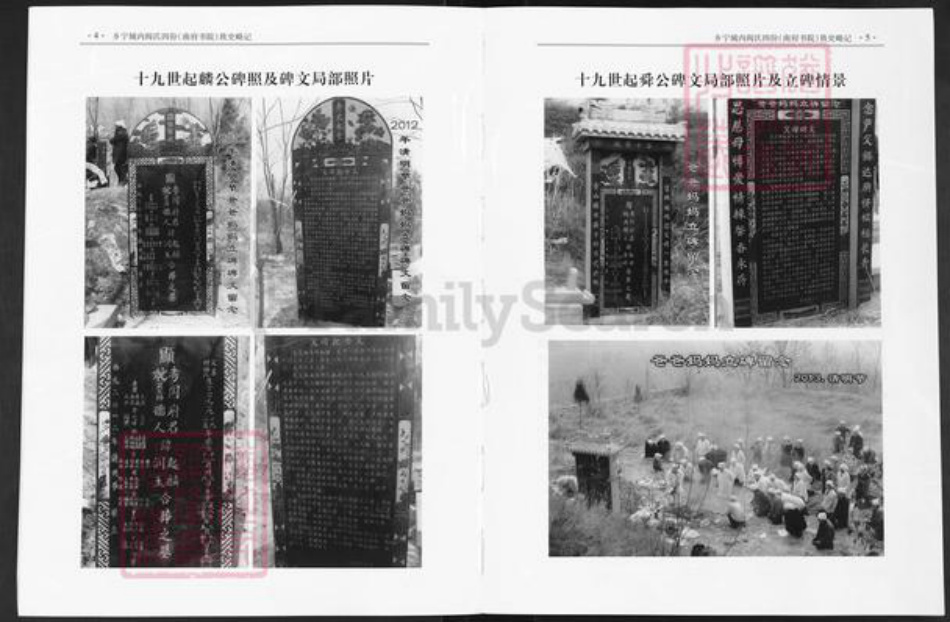 湖北省黄石市大冶市金牛镇阎氏族谱-乡宁城内阎氏四份(南府书院)族史略记.pdf电子版插图5