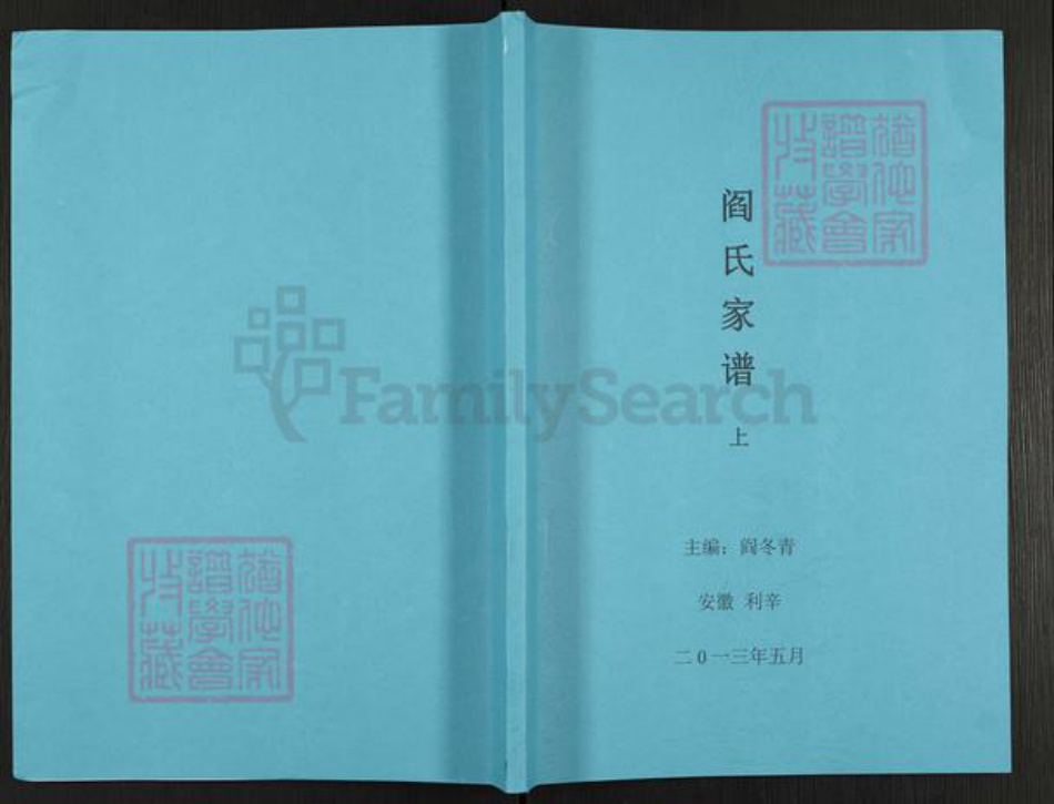 安徽省亳州市利辛县城关镇阎氏族谱-阎氏家谱.pdf电子版
