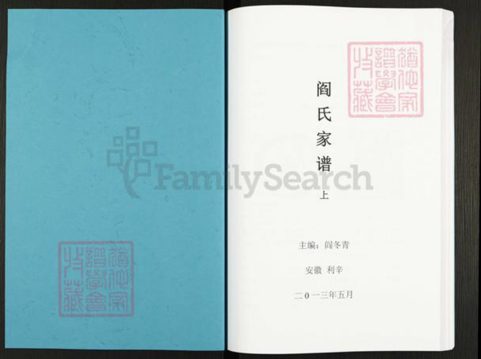 安徽省亳州市利辛县城关镇阎氏族谱-阎氏家谱.pdf电子版插图1