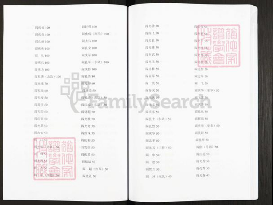 安徽省亳州市利辛县城关镇阎氏族谱-阎氏家谱.pdf电子版插图4