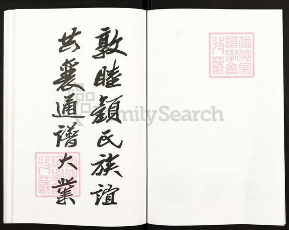 江苏省扬州市高邮市临泽镇颜氏复圣堂族谱-北荡颜氏支谱.pdf电子版插图4