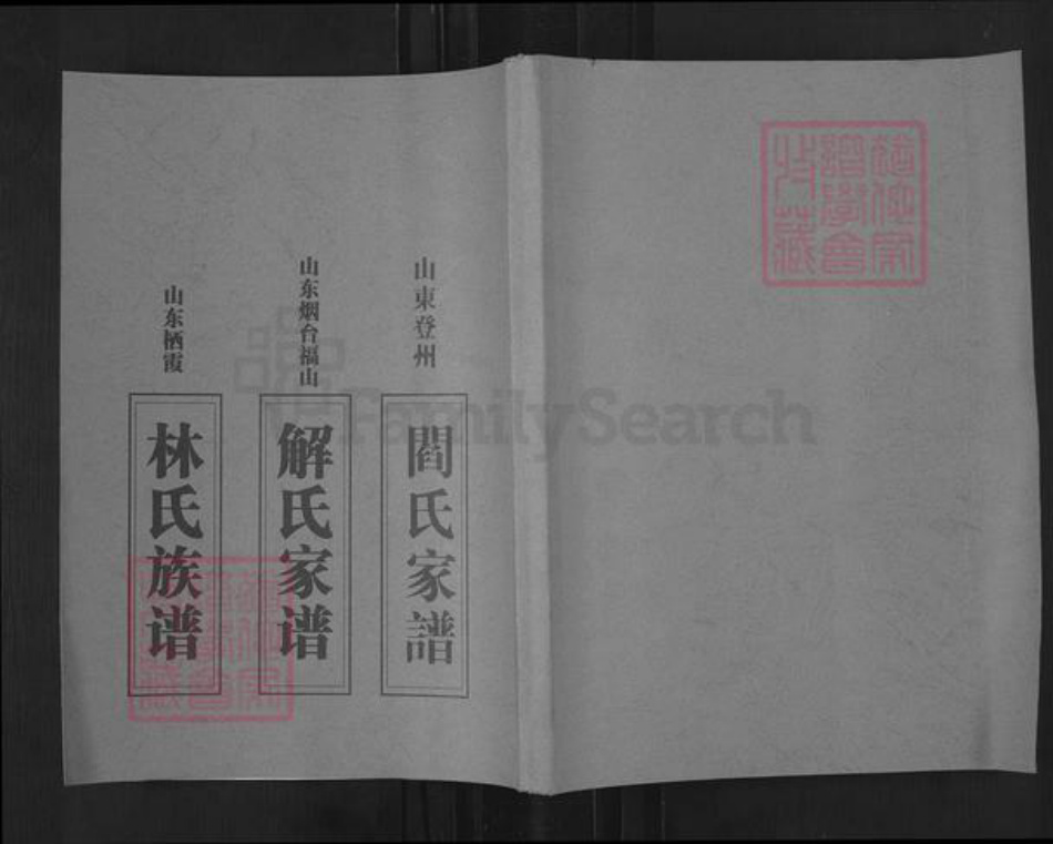 山东省烟台市蓬莱市登州街道阎氏族谱-山东登州阎氏家谱.pdf电子版