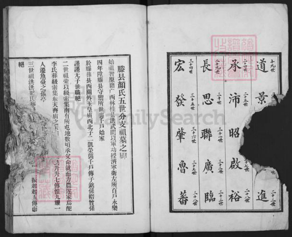 山东省枣庄市滕州市颜氏族谱-古滕颜氏族谱.pdf电子版插图2 山东省枣庄市滕州市颜氏族谱-古滕颜氏族谱.pdf电子版插图2