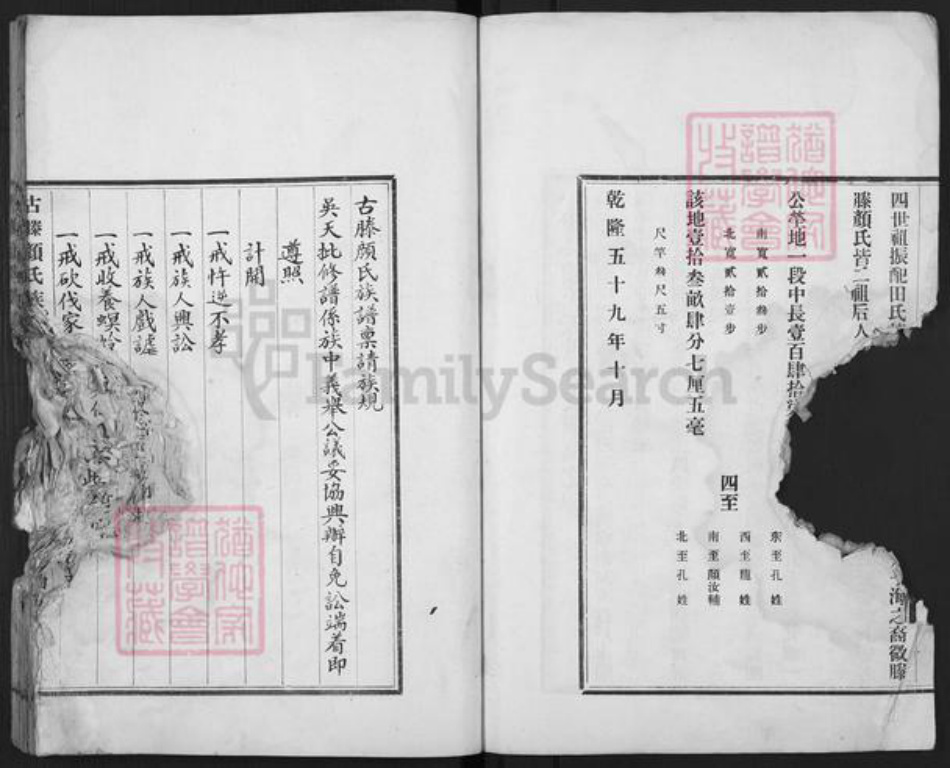 山东省枣庄市滕州市颜氏族谱-古滕颜氏族谱.pdf电子版插图3 山东省枣庄市滕州市颜氏族谱-古滕颜氏族谱.pdf电子版插图3