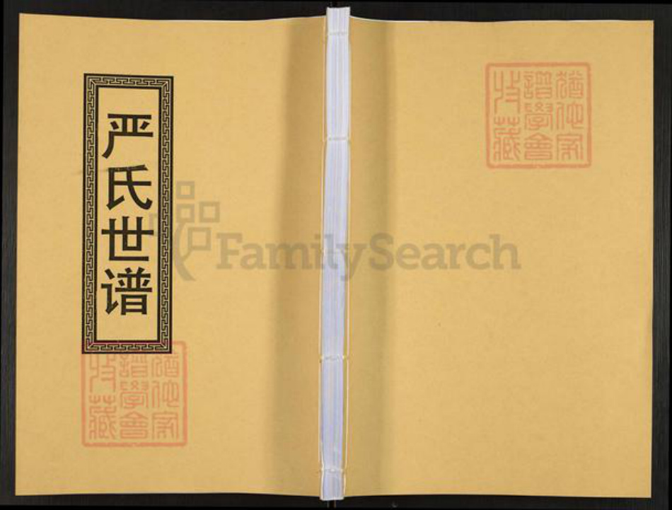 江苏省苏州市常熟市海虞镇严氏族谱-严氏世谱.pdf电子版