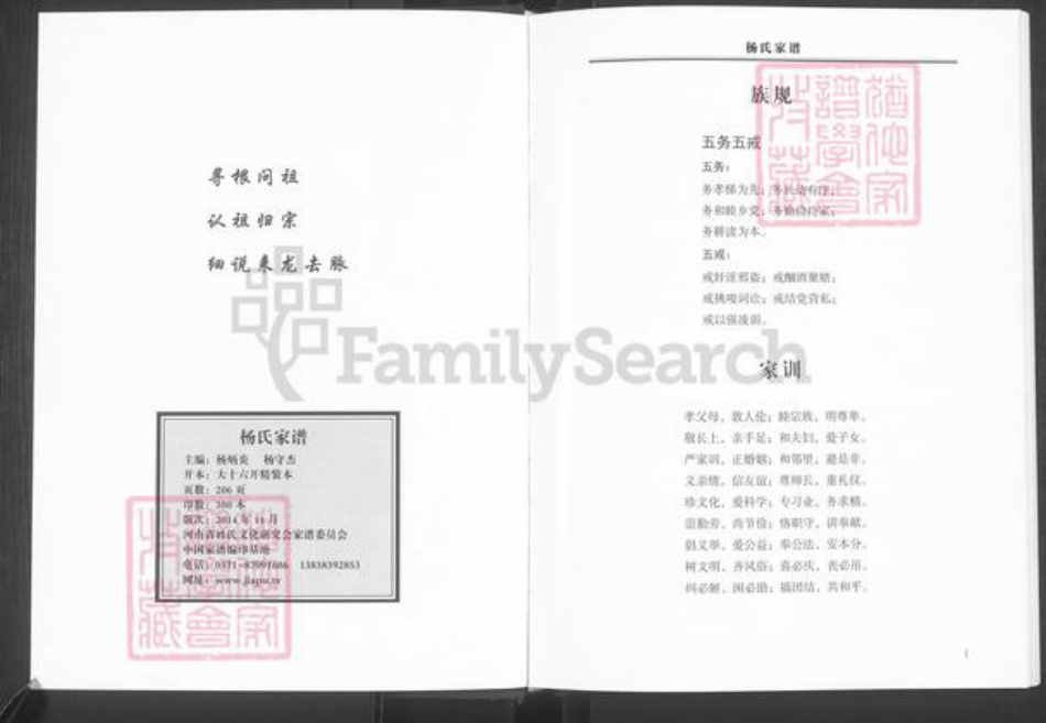 河南省郑州市新郑市杨氏族谱-杨氏家谱.pdf电子版插图2