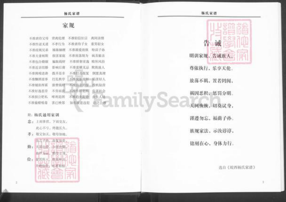 河南省郑州市新郑市杨氏族谱-杨氏家谱.pdf电子版插图3