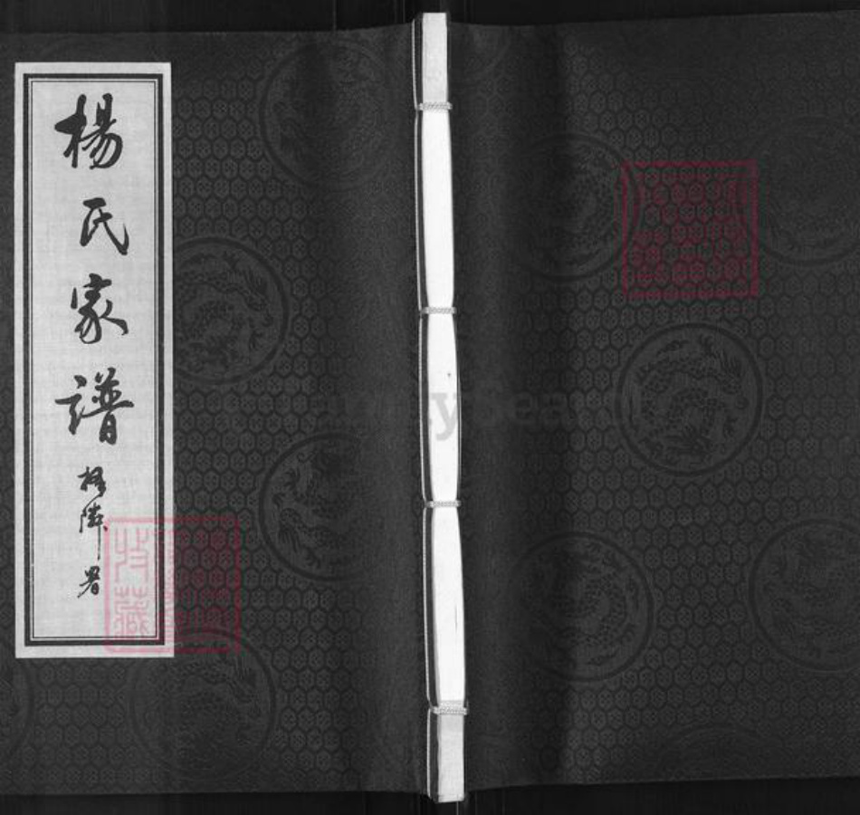 河北省沧州沧县崔尔庄镇杨氏族谱-杨氏家谱.pdf电子版