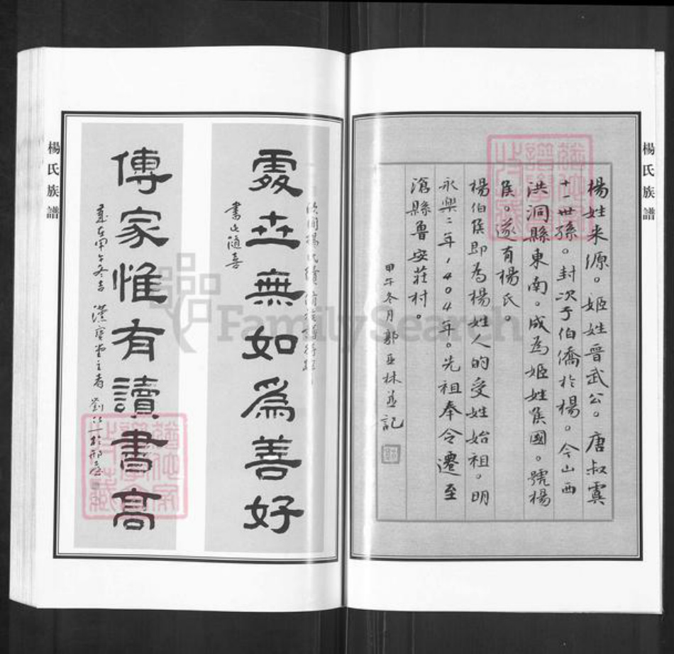 河北省沧州沧县崔尔庄镇杨氏族谱-杨氏家谱.pdf电子版插图2 河北省沧州沧县崔尔庄镇杨氏族谱-杨氏家谱.pdf电子版插图2