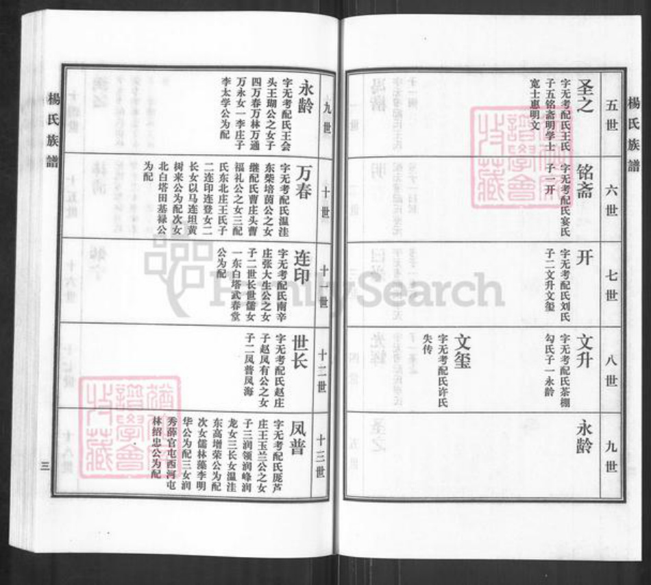 河北省沧州沧县崔尔庄镇杨氏族谱-杨氏家谱.pdf电子版插图5 河北省沧州沧县崔尔庄镇杨氏族谱-杨氏家谱.pdf电子版插图5